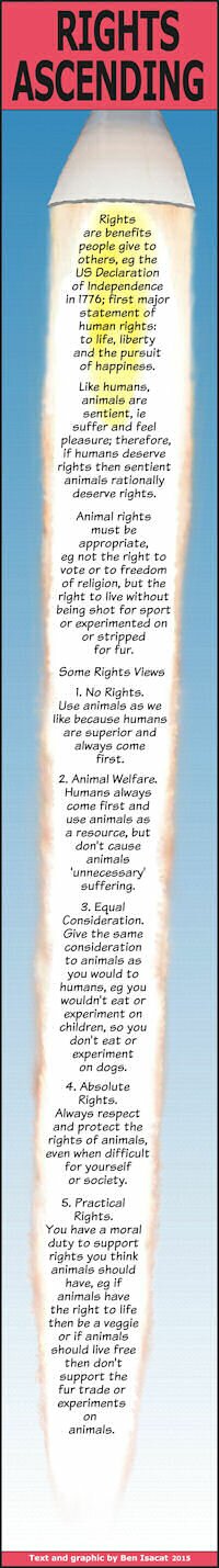 Animal Rights Explained