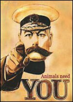 Kitchener says animals need you